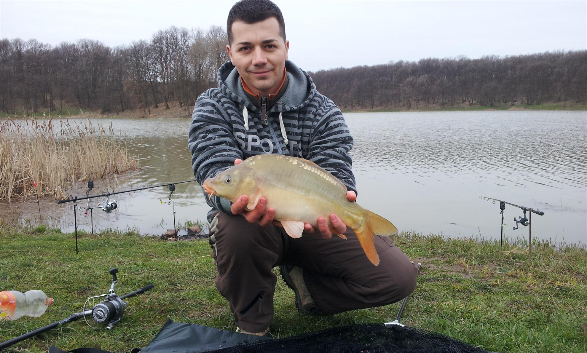 Balta SISTEREA jud Bihor - 28.03.2013